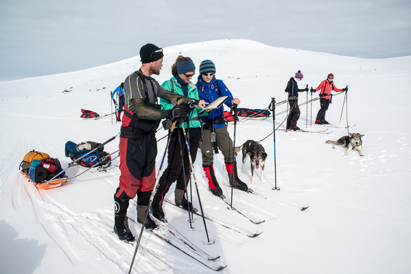 Guests and a guide checking a map on skis, with sled dogs and sleds behind them